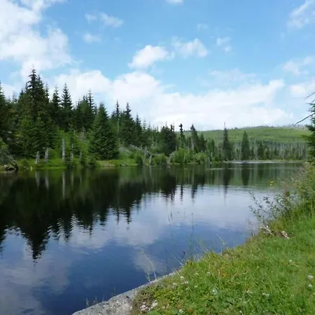 Elisabeth, Bavarian Forest *