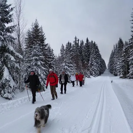 Elisabeth, Bavarian Forest Дом отдыха