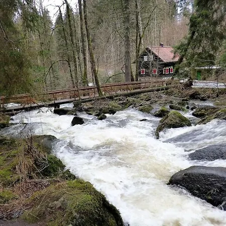 Дом отдыха Elisabeth, Bavarian Forest Hinterschmiding