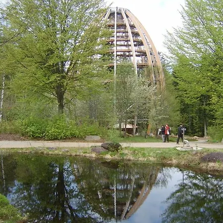 Elisabeth, Bavarian Forest *