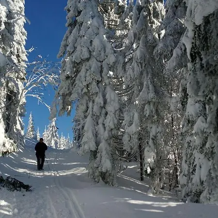 Дом отдыха Elisabeth, Bavarian Forest *